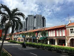 Tanjong Pagar Conservation Area (D2), Shop House #599574131